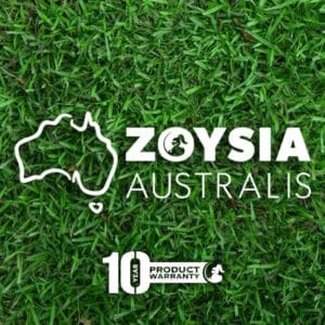 zoysia australis sydney